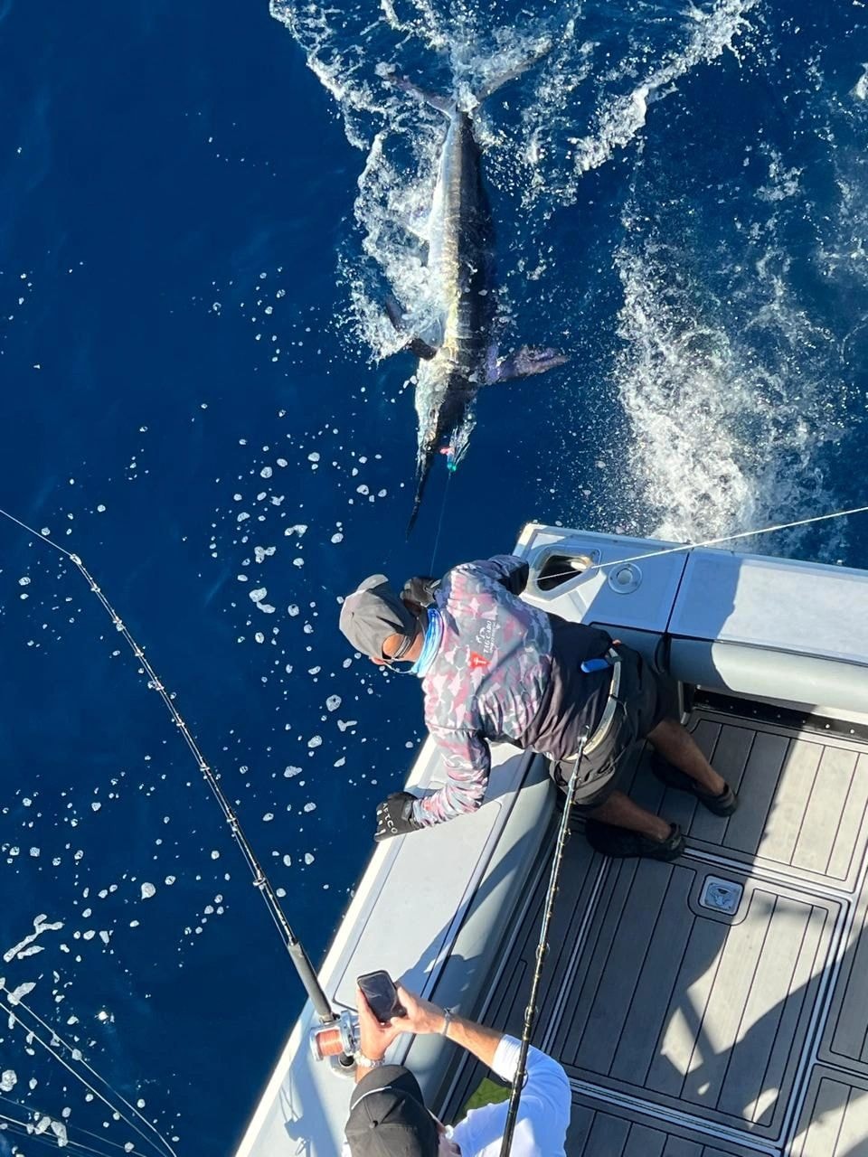 Marlin release action shot