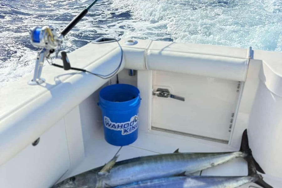Wahoo